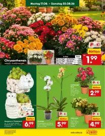 Netto Marken-Discount DE folder week 34 Pagina 13