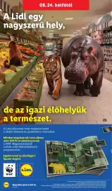 Lidl akciós újság hét 34 Oldal 52