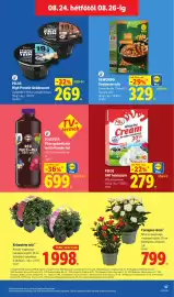 Lidl akciós újság hét 34 Oldal 57: SOLEVITA €699,00, PILOS High Protein túródesszert €269,00