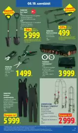 Lidl akciós újság hét 34 Oldal 7: Parkside kantáros munkásnadrág €5.999,00, Livarno home rózsalugas / virágfuttató €2.999,00