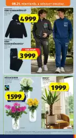 ALDI akciós újság hét 34 Oldal 41: Up2fashion men férfi szabadidőfelső €4.999,00, Jukka pálmaliliom €1.999,00