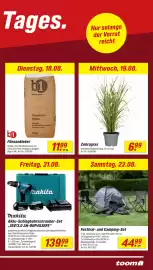 Toom Baumarkt Prospekt woche 33 Seite 17