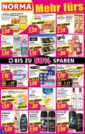 Norma Prospekt woche 35 Seite 8