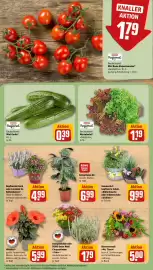 REWE Kaufpark Prospekt woche 34 Seite 7