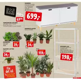 Jem & fix kundeavis uke 34 Side 9: PEPEROMIA €39,00, GRØNNE PLANTER