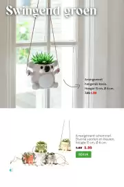 Intratuin folder week 34 Pagina 5: Arrangement hangende koala €5,99, Arrangement schommel €5,99