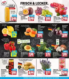 HIT Prospekt woche 34 Seite 2