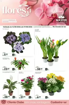 Master (válido até 19-08)