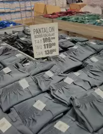 Catálogo Hemsa Página 17