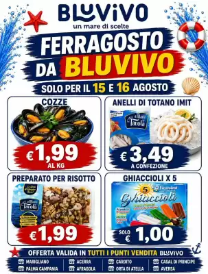BluVivo (valido fino al 16-08)