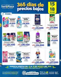 Catálogo Supermercados Surtiplaza Página 16: Fanz Detergente en Polvo Multiusos €13.500,00, Detergente AK-1 €28.450,00