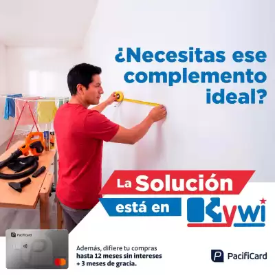 Kywi (válido hasta 21-08)