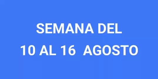 Catálogo Wong semana 34 Página 3