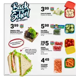 Freson Bros flyer week 34 Page 8