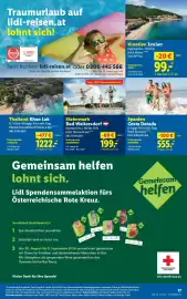 Lidl Flugblatt woche 34 Seite 21