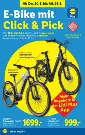 Lidl Flugblatt woche 34 Seite 22