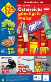 Lidl Flugblatt woche 34 Seite 31