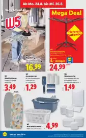 Lidl Flugblatt woche 34 Seite 37