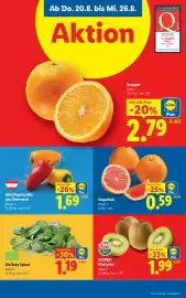 Lidl Flugblatt woche 34 Seite 40