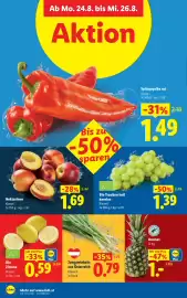 Lidl Flugblatt woche 34 Seite 41