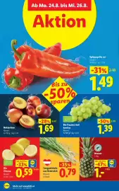 Lidl Flugblatt woche 34 Seite 41