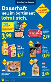 Lidl Flugblatt woche 34 Seite 49