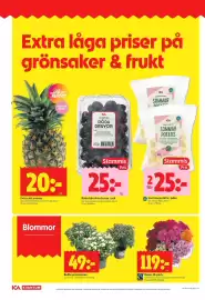 ICA Kvantum reklamblad vecka 34 Sida 6: Rosor 12-pack €119,00, Röda kärnfria druvor i ask, Medlemspris