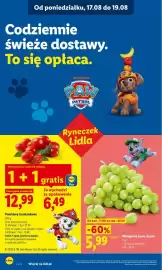 Lidl gazetka Strona 38