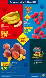 Lidl gazetka Strona 39
