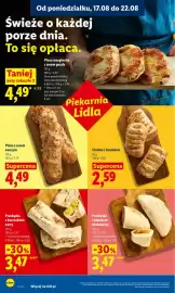 Lidl gazetka Strona 42