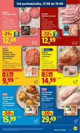 Lidl gazetka Strona 45
