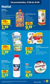 Lidl gazetka Strona 49