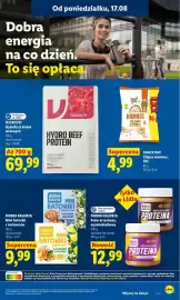 Lidl gazetka Strona 61