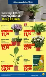 Lidl gazetka Strona 77