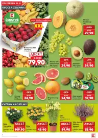 Kaufland leták týden 34 Strana 2: Citrony €24,90, Růže Trio miska €149,90