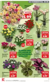 Kaufland DE folder week 34 Pagina 5
