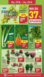 Aldi Nord Prospekt woche 35 Seite 26