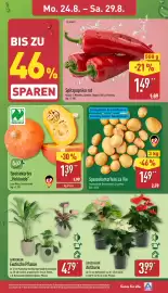 Aldi Nord Prospekt woche 35 Seite 3