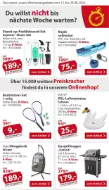 Sonderpreis Baumarkt Prospekt woche 34 Seite 2