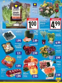 EDEKA Hahner Prospekt Seite 7