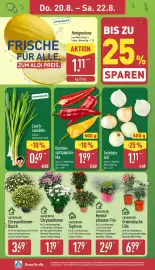 Aldi Nord Prospekt Seite 26