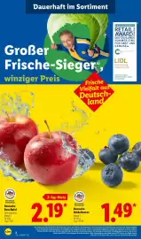Lidl Prospekt woche 35 Seite 2