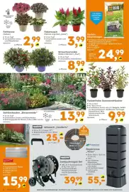 Globus Baumarkt Prospekt woche 34 Seite 2