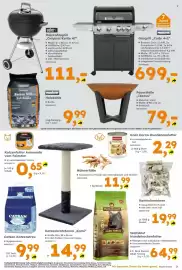 Globus Baumarkt Prospekt woche 34 Seite 3