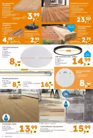 Globus Baumarkt Prospekt woche 34 Seite 4