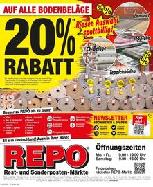 Repo Markt Prospekt woche 34 Seite 12