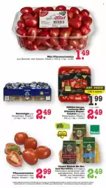 Scheck-in-Center Prospekt woche 34 Seite 19