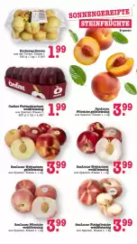 Scheck-in-Center Prospekt woche 34 Seite 21