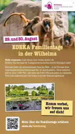 Scheck-in-Center Prospekt woche 34 Seite 65