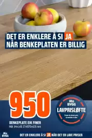 Obs Bygg kundeavis Side 26: BENKEPLATE EIK FINER €950,00